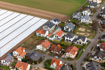 Vue aérienne de Sur la Römerstr à Rheinzabern dans le département Rhénanie-Palatinat, Allemagne