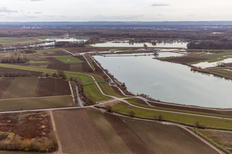 Vue aérienne de Vieux Rhin inondé / Polder Neupotz à Rheinzabern dans le département Rhénanie-Palatinat, Allemagne