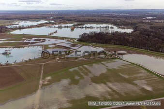 Vue aérienne de Vieux Rhin inondé / Polder Neupotz à Jockgrim dans le département Rhénanie-Palatinat, Allemagne