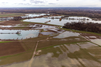 Vue aérienne de Prairies inondées du polder de Neupotz sur le lit du Rhin en crue à Neupotz à Jockgrim dans le département Rhénanie-Palatinat, Allemagne
