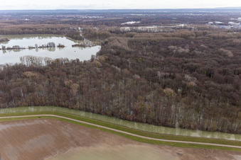 Vue aérienne de Vieux Rhin inondé / Polder Neupotz à Wörth am Rhein dans le département Rhénanie-Palatinat, Allemagne