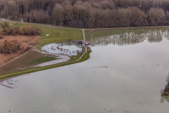 Vue aérienne de Prairies inondées du polder de Neupotz sur le lit du Rhin en crue à Neupotz à Wörth am Rhein dans le département Rhénanie-Palatinat, Allemagne