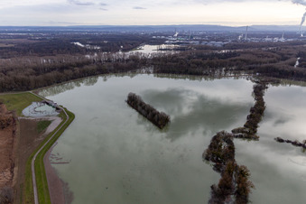 Vue aérienne de Prairies inondées du polder de Neupotz sur le lit du Rhin en crue à Neupotz à Wörth am Rhein dans le département Rhénanie-Palatinat, Allemagne