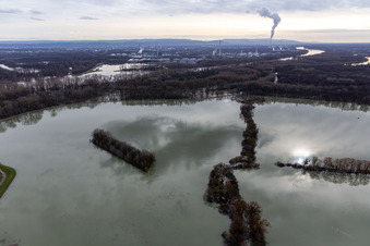 Photographie aérienne de Vieux Rhin inondé / Polder Neupotz à Wörth am Rhein dans le département Rhénanie-Palatinat, Allemagne