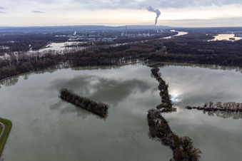 Photographie aérienne de Prairies inondées du polder de Neupotz sur le lit du Rhin en crue à Neupotz à Wörth am Rhein dans le département Rhénanie-Palatinat, Allemagne