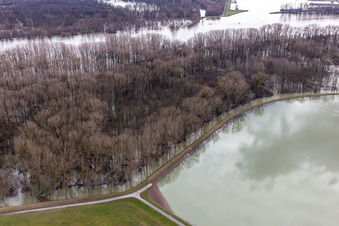 Vue aérienne de Vieux Hörnel du Rhin inondé à Wörth am Rhein dans le département Rhénanie-Palatinat, Allemagne