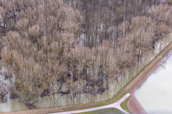 Vue aérienne de Vieux Hörnel du Rhin inondé à Wörth am Rhein dans le département Rhénanie-Palatinat, Allemagne