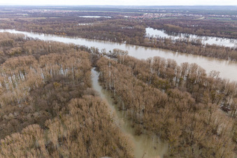 Vue aérienne de Prairies inondées du Rhin dans les gorges à Neupotz dans le département Rhénanie-Palatinat, Allemagne