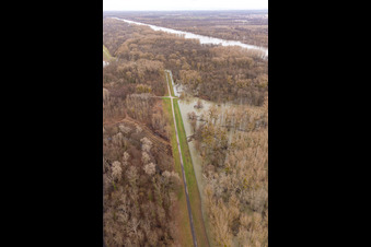 Photographie aérienne de Prairies inondées du Rhin près du barrage du Rhin à Neupotz dans le département Rhénanie-Palatinat, Allemagne