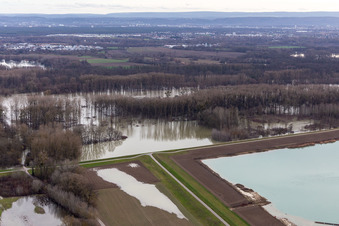 Vue aérienne de Prairies inondées du polder Neupotz sur le lit du Rhin en crue à Neupotz dans le département Rhénanie-Palatinat, Allemagne
