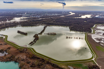 Vue aérienne de Prairies inondées du polder Neupotz sur le lit du Rhin en crue à Neupotz dans le département Rhénanie-Palatinat, Allemagne