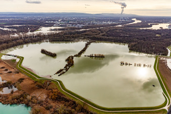 Vue aérienne de Vieux Rhin inondé / Polder Neupotz à Neupotz dans le département Rhénanie-Palatinat, Allemagne