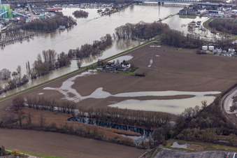 Vue aérienne de Hofgut Ludwigsau lors des crues du Rhin à le quartier Maximiliansau in Wörth am Rhein dans le département Rhénanie-Palatinat, Allemagne