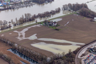 Vue aérienne de Ferme et dépendances de la ferme Hofgut Ludwigsau pendant les crues du Rhin à le quartier Maximiliansau in Wörth am Rhein dans le département Rhénanie-Palatinat, Allemagne