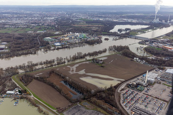 Photographie aérienne de Hofgut Ludwigsau lors des crues du Rhin à le quartier Maximiliansau in Wörth am Rhein dans le département Rhénanie-Palatinat, Allemagne