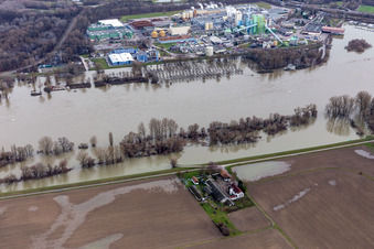 Vue aérienne de Ferme et dépendances de la ferme Hofgut Ludwigsau pendant les crues du Rhin à le quartier Maximiliansau in Wörth am Rhein dans le département Rhénanie-Palatinat, Allemagne