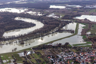 Vue aérienne de Hagenbacher Altrhein devant l'île de Nauas pendant l'inondation à le quartier Maximiliansau in Wörth am Rhein dans le département Rhénanie-Palatinat, Allemagne