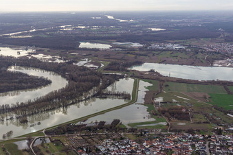 Vue aérienne de Hagenbacher Altrhein devant l'île de Nauas pendant l'inondation à le quartier Maximiliansau in Wörth am Rhein dans le département Rhénanie-Palatinat, Allemagne