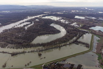 Vue aérienne de Hagenbacher Altrhein devant l'île de Nauas avec un fond doré pendant la crue du Rhin à le quartier Maximiliansau in Wörth am Rhein dans le département Rhénanie-Palatinat, Allemagne
