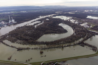 Vue aérienne de Hagenbacher Altrhein devant l'île de Nauas avec un fond doré pendant la crue du Rhin à le quartier Maximiliansau in Wörth am Rhein dans le département Rhénanie-Palatinat, Allemagne