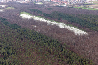 Vue aérienne de Otterbach avec prairies inondées dans le Bienwald à Kandel dans le département Rhénanie-Palatinat, Allemagne