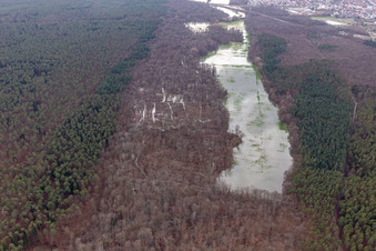 Vue aérienne de Otterbach avec prairies inondées dans le Bienwald à Kandel dans le département Rhénanie-Palatinat, Allemagne