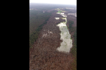 Vue aérienne de Zone forestière de Bienwald avec terrain sous l'eau à Otterbach avec prairies inondées à l'A65 à Kandel dans le département Rhénanie-Palatinat, Allemagne