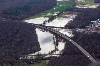 Vue aérienne de Zone forestière de Bienwald avec terrain sous l'eau à Otterbach avec prairies inondées à l'A65 à Kandel dans le département Rhénanie-Palatinat, Allemagne