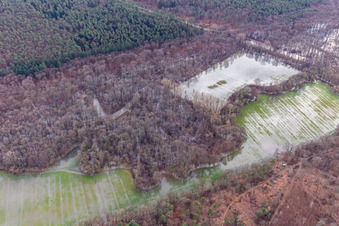 Vue aérienne de Otterbach et Bruchgraben avec prairies inondées dans le Bienwald à Wörth am Rhein dans le département Rhénanie-Palatinat, Allemagne
