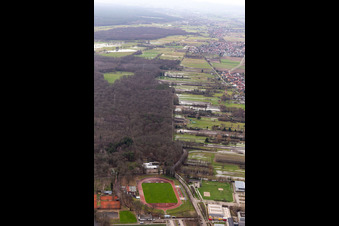 Vue aérienne de Terrain sous l'eau avec prairies inondées entre Floßgraben et Dörniggraben sur la Saarstr à Kandel dans le département Rhénanie-Palatinat, Allemagne