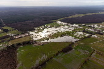 Vue aérienne de Terrain sous l'eau avec prairies inondées entre Mühlbach, Dierbach et Otterbach à Minfeld dans le département Rhénanie-Palatinat, Allemagne