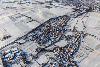 Vue aérienne de Niederhorbach enneigé en hiver à le quartier Drusweiler in Kapellen-Drusweiler dans le département Rhénanie-Palatinat, Allemagne