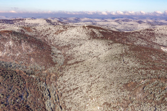 Vue aérienne de Vue aérienne hivernale dans la neige du Dierbachtal avec la tour de Stäffelsberg à Dörrenbach dans le département Rhénanie-Palatinat, Allemagne