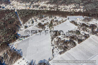 Vue aérienne de Vue aérienne hivernale sous la neige des parcelles de jardin près de la forêt à Dörrenbach dans le département Rhénanie-Palatinat, Allemagne