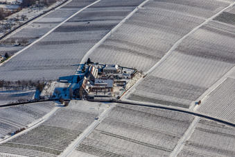 Vue aérienne de Hiver enneigé " Leinsweiler yard à Leinsweiler dans le département Rhénanie-Palatinat, Allemagne