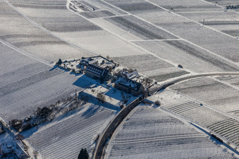 Photographie aérienne de Hiver enneigé " Leinsweiler yard à Leinsweiler dans le département Rhénanie-Palatinat, Allemagne