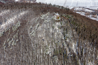 Vue aérienne de Vue aérienne hivernale sous la neige du château de Neukastell à Leinsweiler dans le département Rhénanie-Palatinat, Allemagne