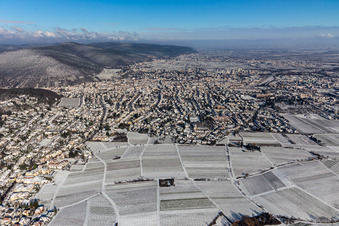 Vue aérienne de Vignobles enneigés en hiver dans le district de Hambach à Neustadt an der Weinstraße dans le département Rhénanie-Palatinat, Allemagne