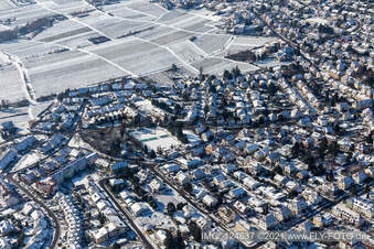 Vue aérienne de Vue aérienne hivernale sous la neige Grünwiesenweg à Neustadt an der Weinstraße dans le département Rhénanie-Palatinat, Allemagne