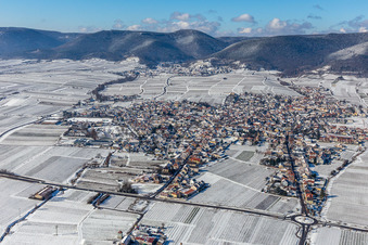 Vue aérienne de Vignobles enneigés en hiver à le quartier Alsterweiler in Maikammer dans le département Rhénanie-Palatinat, Allemagne