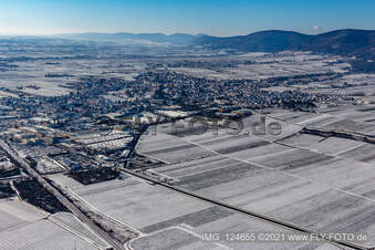 Vue aérienne de Vue aérienne d'hiver sous la neige à Edenkoben dans le département Rhénanie-Palatinat, Allemagne