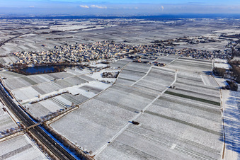 Vue aérienne de Vue aérienne d'hiver sous la neige avec étang du château à Kirrweiler dans le département Rhénanie-Palatinat, Allemagne