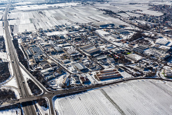 Vue aérienne de Zone industrielle et commerciale hivernale enneigée Est avec dreiso GmbH Dreißigacker & Sohn à Edenkoben dans le département Rhénanie-Palatinat, Allemagne