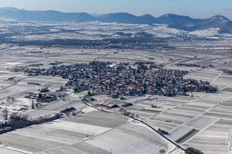 Vue aérienne de Bords de vignobles et de caves enneigés en hiver dans la région viticole en Nußdorf à le quartier Nußdorf in Landau in der Pfalz dans le département Rhénanie-Palatinat, Allemagne