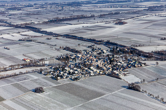 Vue aérienne de Champs agricoles et terres agricoles enneigés en hiver à Knöringen dans le département Rhénanie-Palatinat, Allemagne