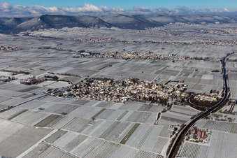 Photographie aérienne de Champs agricoles et terres agricoles enneigés en hiver à Walsheim dans le département Rhénanie-Palatinat, Allemagne