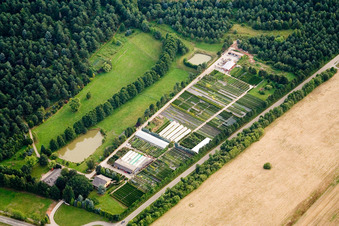 Vue aérienne de Marché aux plantes PflanzenOase Jansen avec parc de rhododendrons dans le quartier de Langensteinbach à le quartier Spielberg in Karlsbad dans le département Bade-Wurtemberg, Allemagne