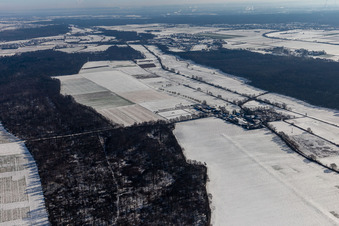 Vue aérienne de Vue aérienne hivernale sous la neige du ranch Palatino à Steinweiler dans le département Rhénanie-Palatinat, Allemagne