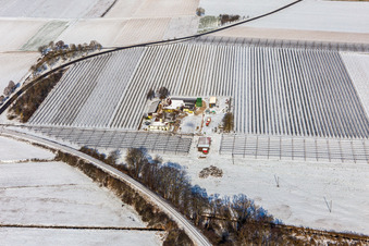 Vue aérienne de Vue aérienne hivernale sous la neige de la ferme d'asperges et de fruits de Gensheimer à Steinweiler dans le département Rhénanie-Palatinat, Allemagne