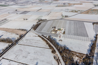 Vue aérienne de Vue aérienne hivernale sous la neige de la ferme d'asperges et de fruits de Gensheimer à Steinweiler dans le département Rhénanie-Palatinat, Allemagne